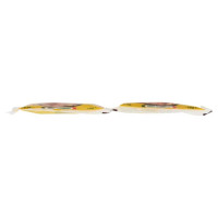Ariosto Insaporitore per Carni Arrosto e alla Griglia gusto Piccante Gr.10 X Pz.2