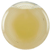 Bio Piu' Succo Lime e Zenzero Bio Ml.500