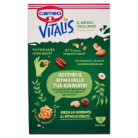 Cameo Vitalis Müesli Croccante con Frutta Secca Gr.310