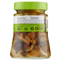 D'Amico Funghi Misti alla Calabrese Gr.314