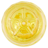 Desantis Olio di Semi di Girasole Pet Lt.1