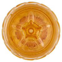 Desantis Olio di Semi di Soia Pet Lt.1