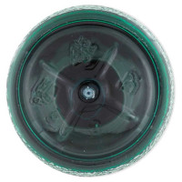 Fabbri Sciroppo Menta Gr.740 Ml.560