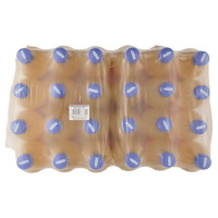 Fanta Orange Pet Cl.66