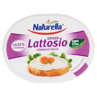 Formaggio Spalmabile senza Lattosio Gr.175