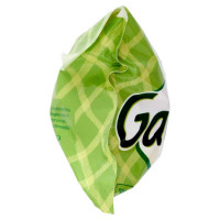 Galbani Galbanino Gr.270
