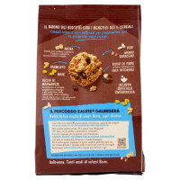 Galbusera Granola e Frolla Cioccolato Gr.300