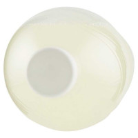 Guizza Limonata Lt.1,5