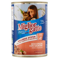 Miglior Gatto Bocconcini con Salmone Gr.405