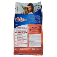 Miglior Gatto Croccantini con Salmone Kg.2