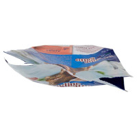 Miglior Gatto Croccantini con Salmone Kg.2