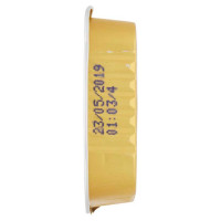Miglior Gatto Vaschetta Pate' con Salmone Gr.100