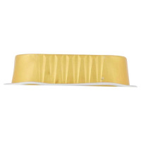 Miglior Gatto Vaschetta Pate' con Salmone Gr.100