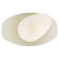 Nidra Sapone Liquido Latte di Mandorla Ml.300