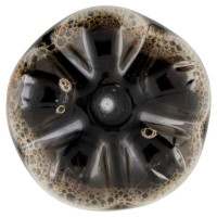 Pepsi Cola Max Zero Lt.1,5