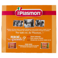 Plasmon Biscotto Dei Grandi Gr.300