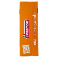 Plasmon Biscotto Dei Grandi Gr.300