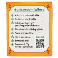 Pompadour Infuso Zenzero e Curcuma 20 Filtri