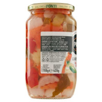 Ponti Giardiniera Gr.800