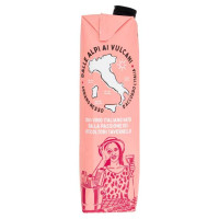 Tavernello Rosato D'Italia Brick Lt.1 Vol.11°