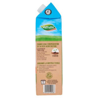 Valfrutta Bevanda Aranciata Italiana Brik Lt.1.5