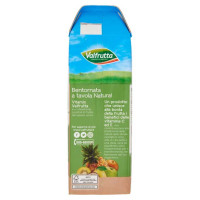Valfrutta Bevanda Vitamix Brik Lt.1.5