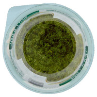 Viva La Mamma Pesto Genovese Gr.90