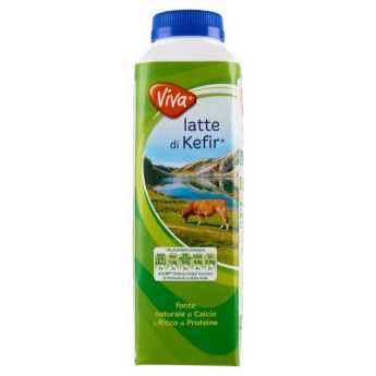 Viva Latte di Kefir Gr.480