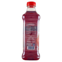 Yoga Succo Melograno Lt.1